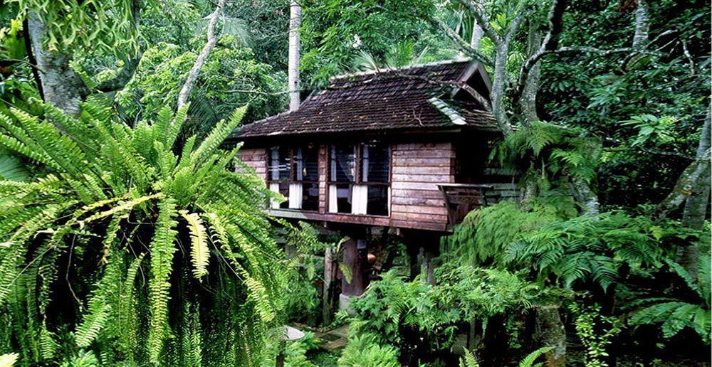 Fern Paradise Chiang Mai Exteriör bild