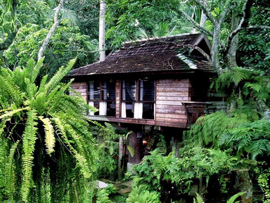 Fern Paradise Chiang Mai Exteriör bild