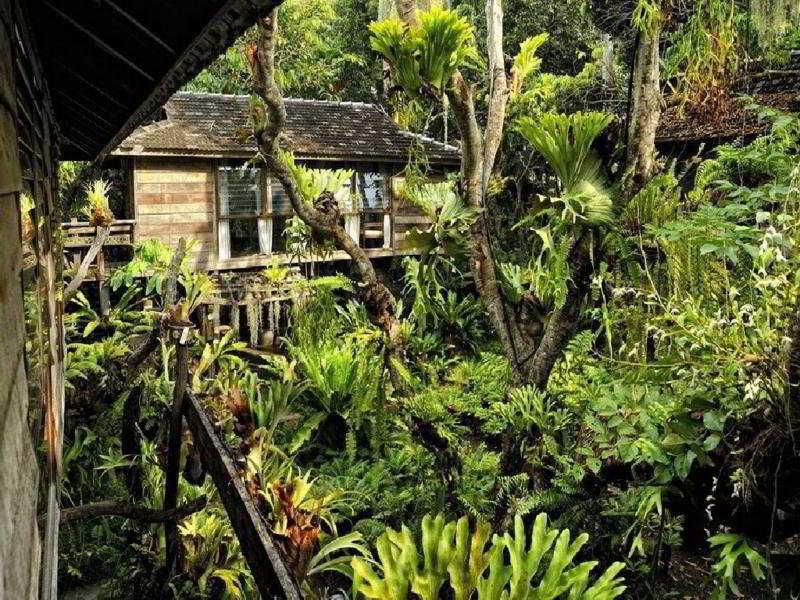 Fern Paradise Chiang Mai Exteriör bild