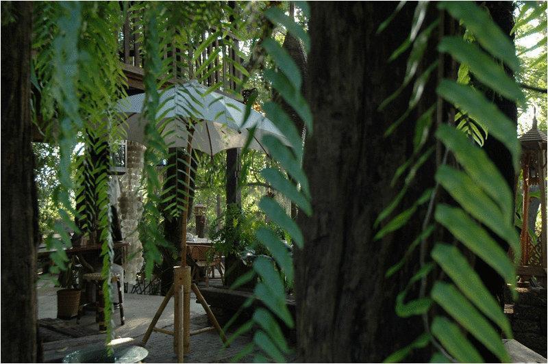 Fern Paradise Chiang Mai Exteriör bild